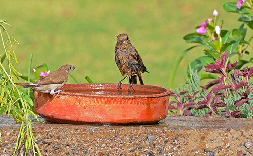 Hydration Heat Health Reminder Stays Relevant Despite Monsoon Shift
