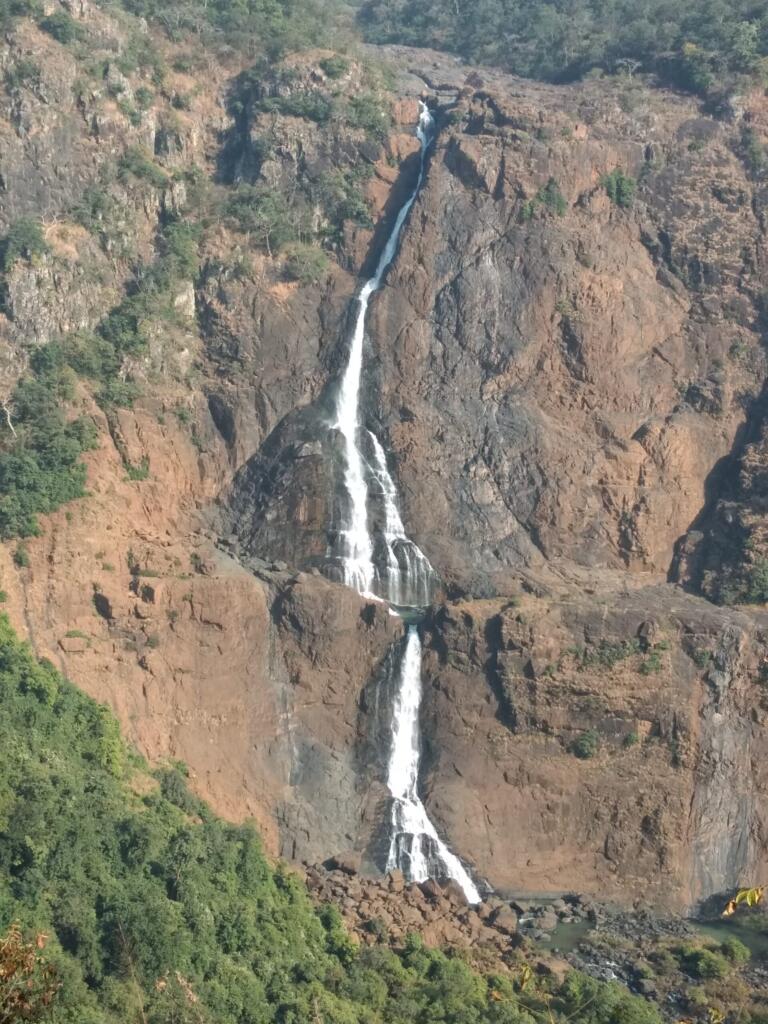 Odisha Eco-Tourism Interest Grows Around Forest And Nature Destinations