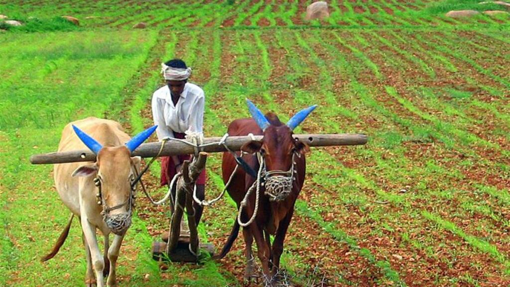 BRICS Indore Declaration Puts Farmer Welfare and Climate Action in Focus