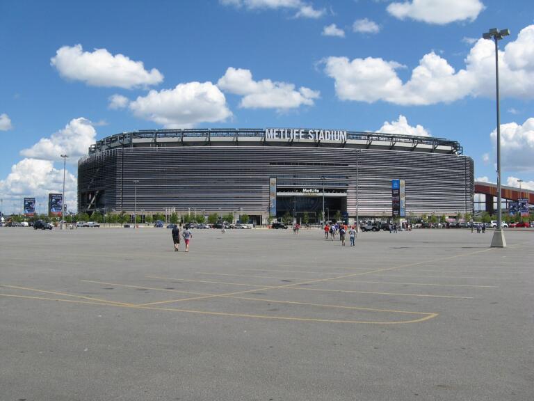 France Players Raise MetLife Pitch Concerns During World Cup