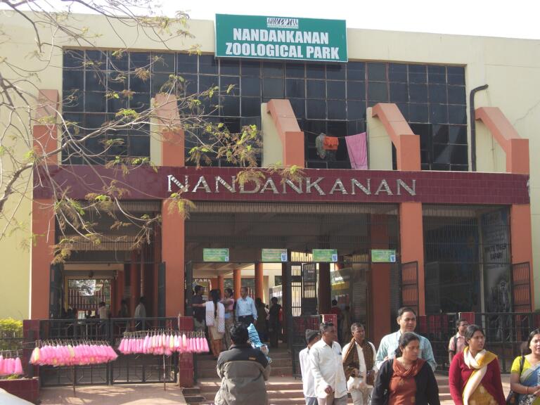 Nandankanan Raja Rush Shows Tourism Pull During Odisha Festival Season
