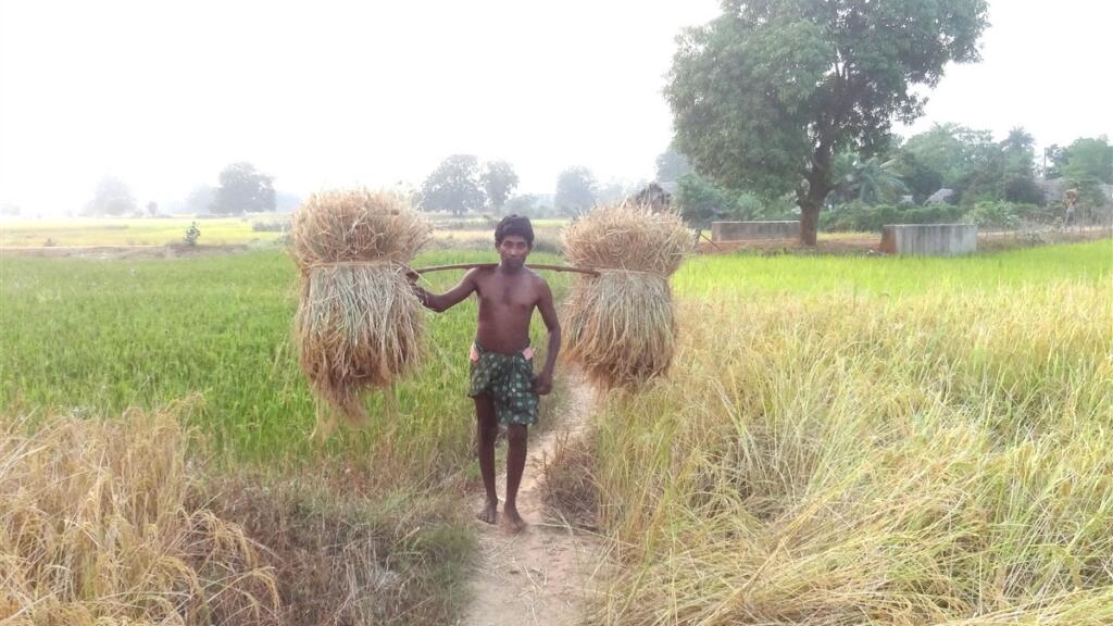 Subarnapur Paddy Procurement Delay Sparks Farmer Protest