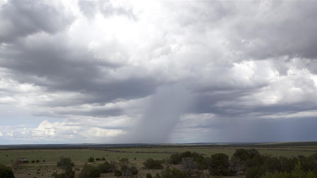 Odisha Rain Alert: IMD Warns of Thunderstorms and Gusty Winds