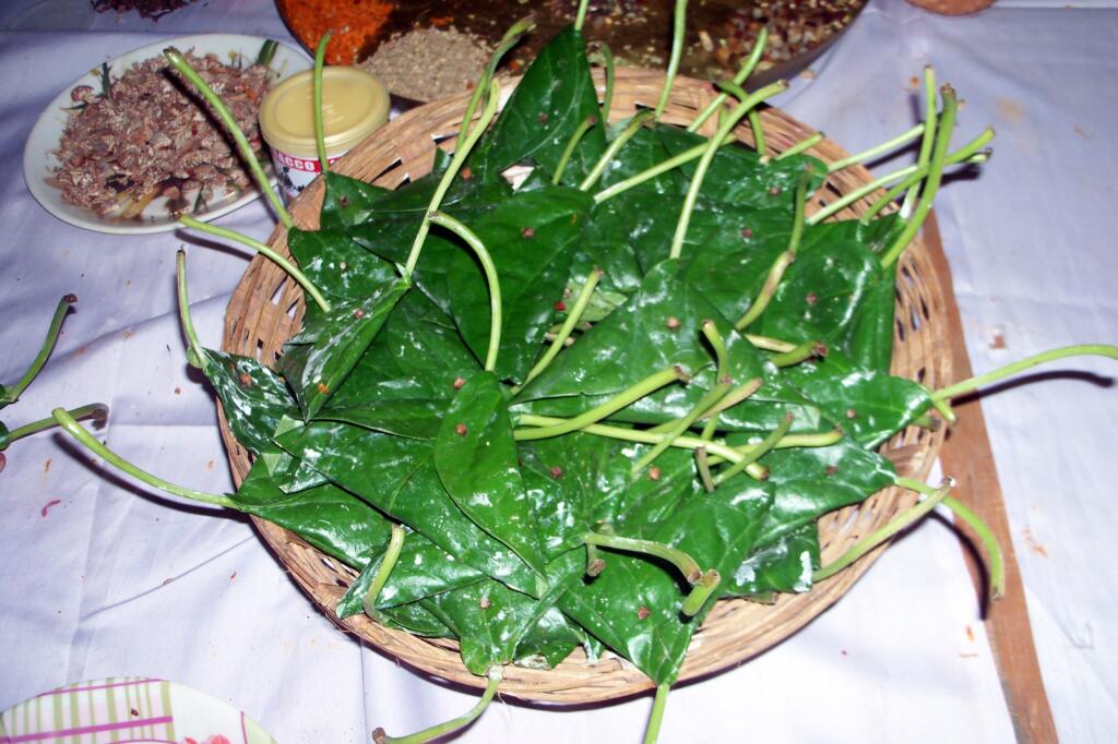 Raja Festival Begins Across Odisha With Monsoon Spirit