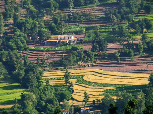 Vidarbha Rain Deficit Raises Concern For Farmers And Water Planning