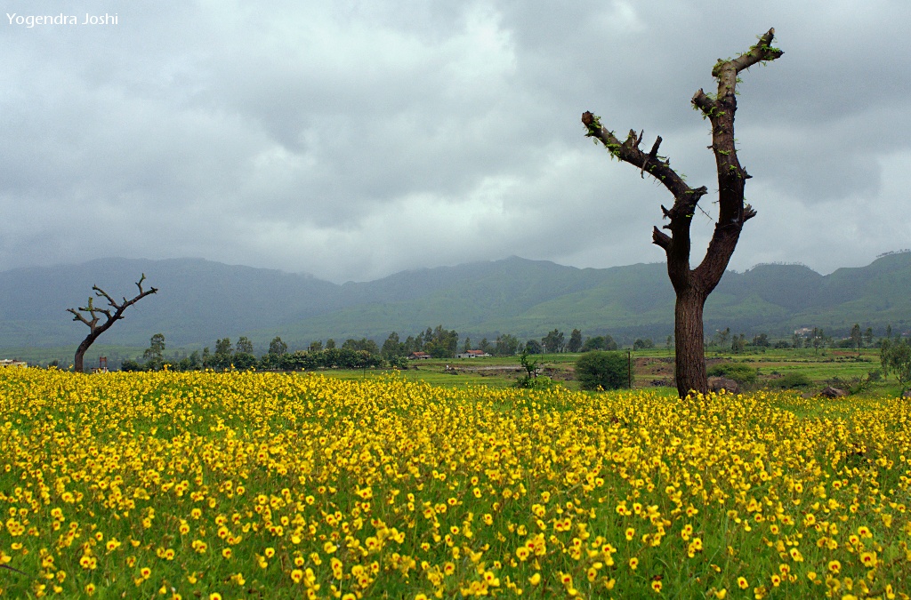 Weekend Travel Plans Face Weather Check As Monsoon Activity Shifts